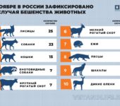 Случаи бешенства животных в ноябре 2023 г. по России