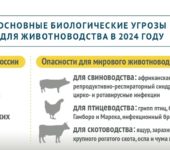 Россия в 2024 году может столкнуться с проблемой биотерроризма – формированием искусственных очагов возбудителей опасных болезней животных.