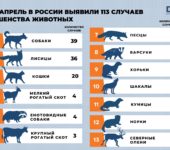 Эпизоотическая ситуация за апрель 2024 года