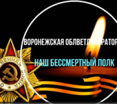 Уважаемые коллеги и клиенты лаборатории  -  наш Бессмертный полк начинает свое шествие !
